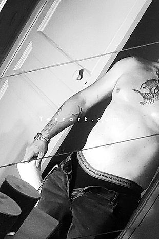 Ivar - Escort boy Brest