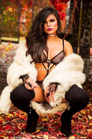 Bianca - Escort Trans/Tv Bordeaux