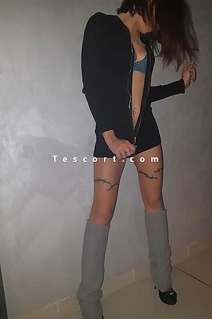 Gangbang37 - Escort Girl Tours-ville