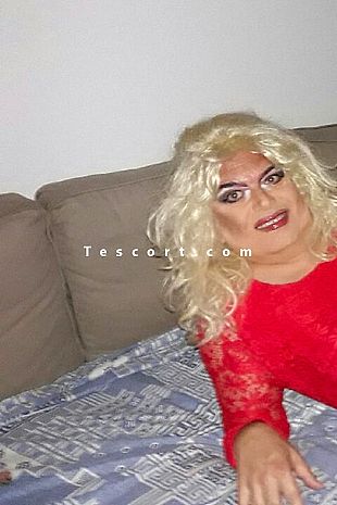 dantrave - Escort Trans/Tv Toulon