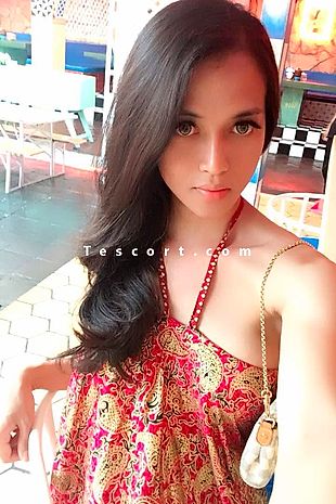 TS Baby Sofie - Trans/Tv escort Paris