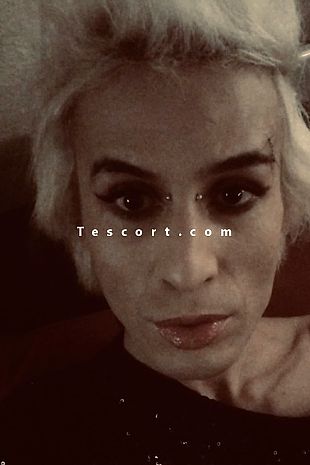 TravVenal - Escort Trans Lyon