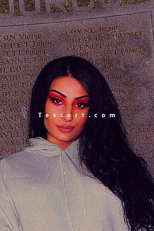 Transfindom - Escort Trans Strasbourg
