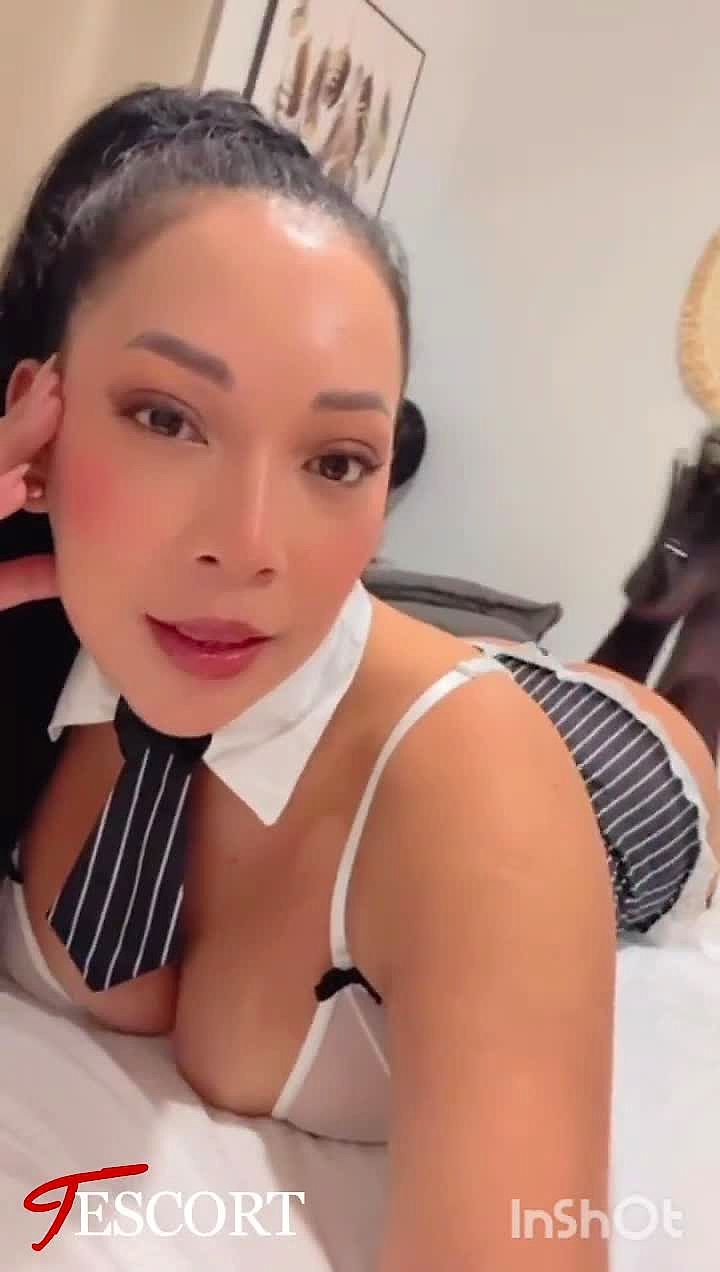 Kimilatina Vidéo Arrière-plan