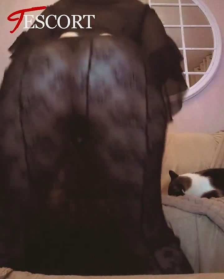 Rosa Video Background