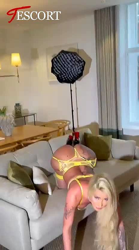 Pamella Horse Video Background