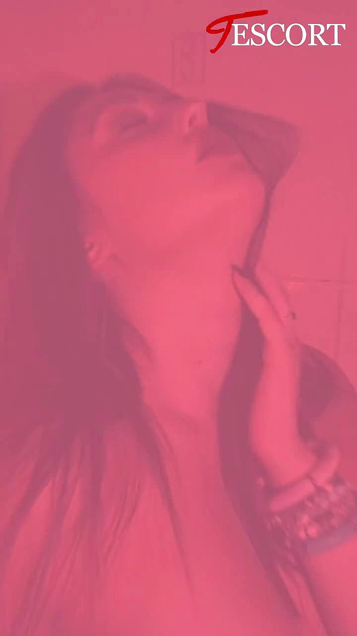 ELLA-TOULOUSE Vidéo Arrière-plan