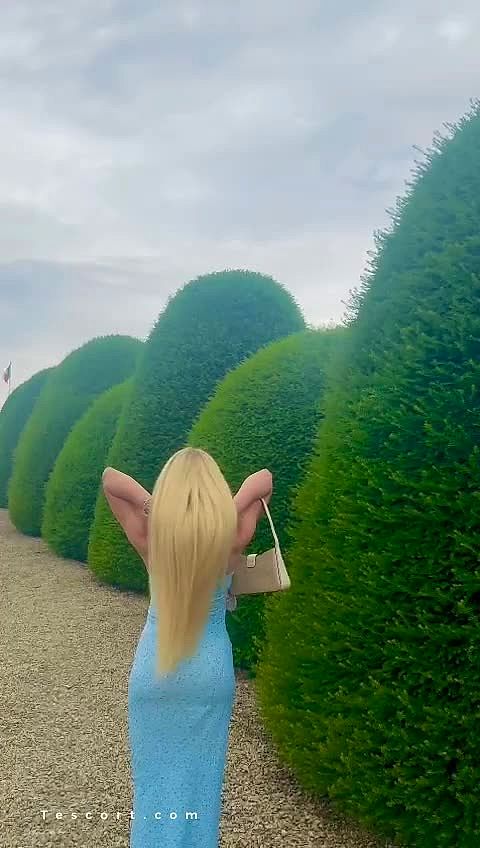 Paolla villain Video Background