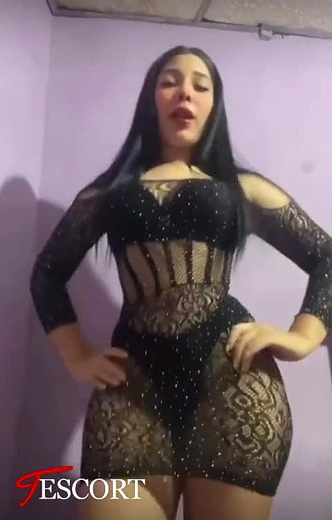 PAULA Video Background