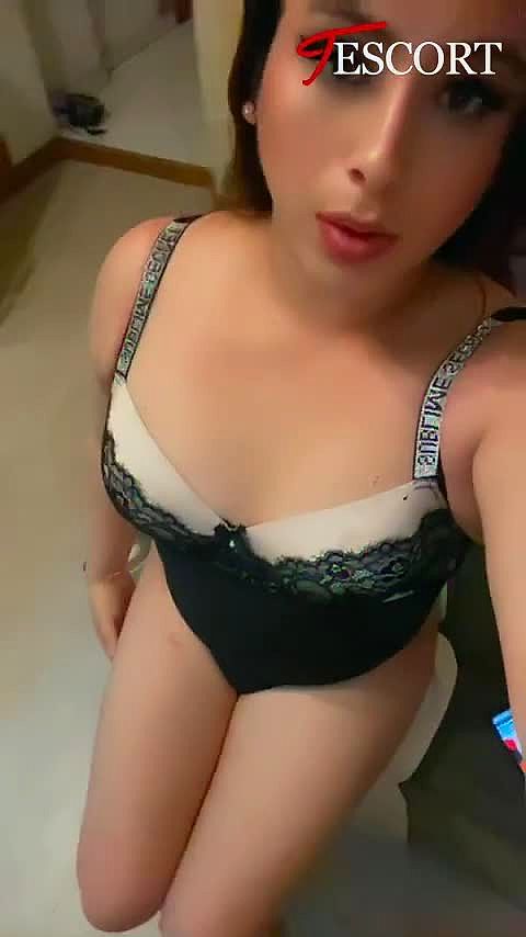 Katalina Video Background