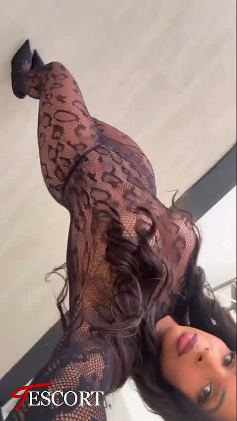 Sophia belle Reel Bresilienne 15eme Video Background