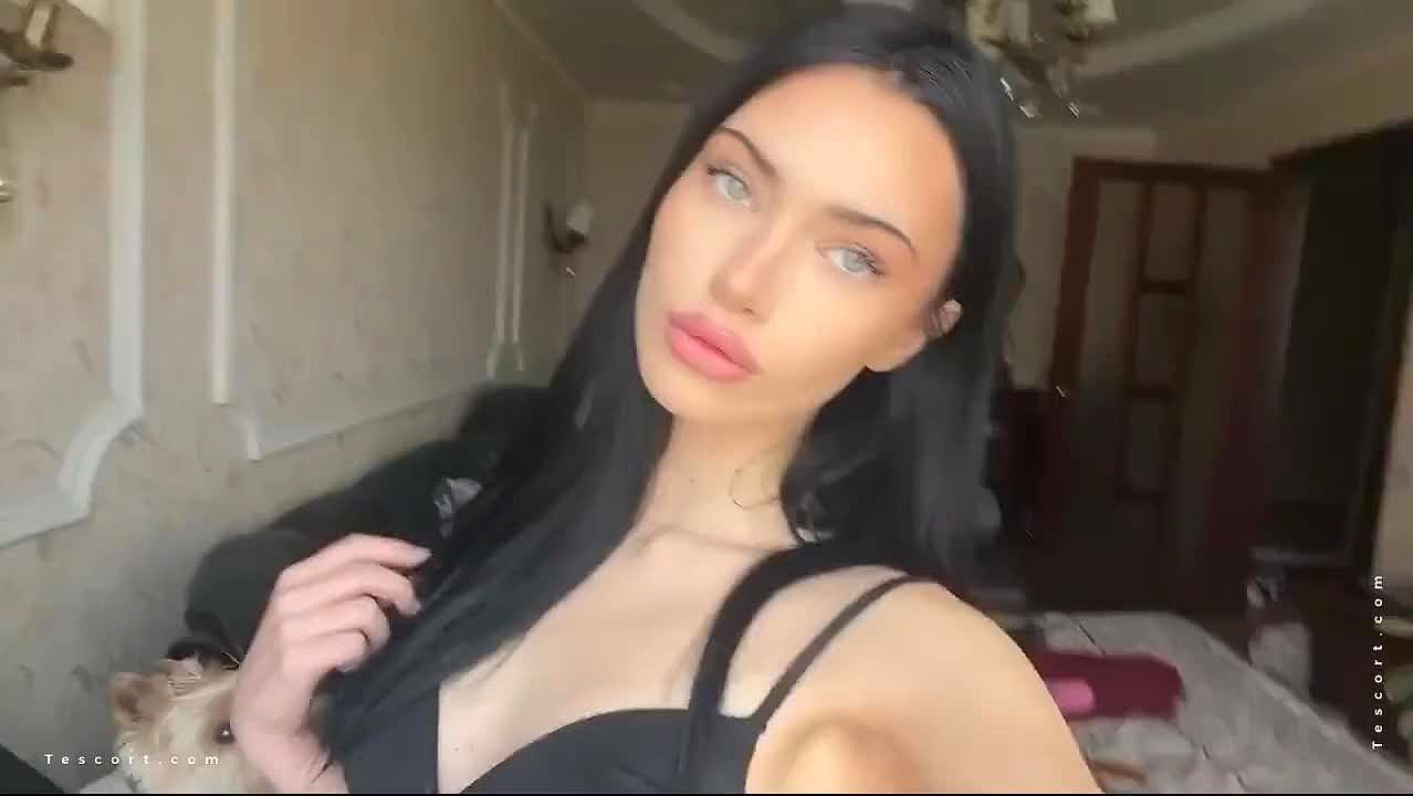 INGRID Video Background