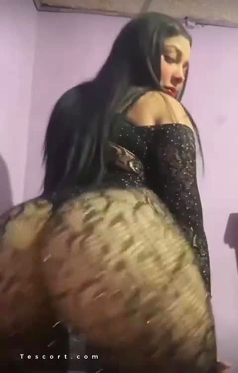SOFIA SEXY LATINA Vidéo Arrière-plan