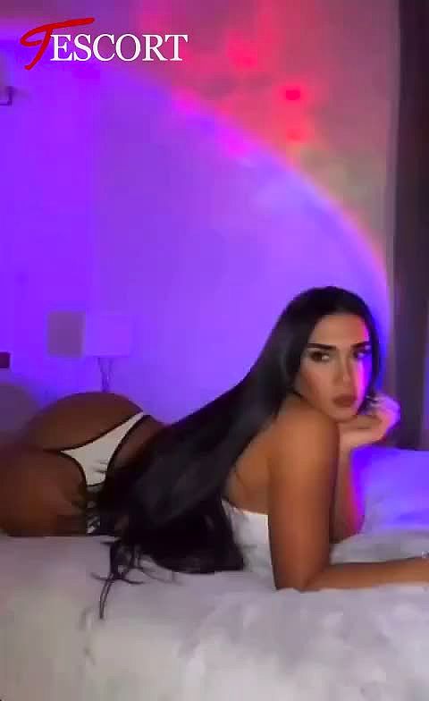 MAITRESSE 22cm Vidéo Arrière-plan