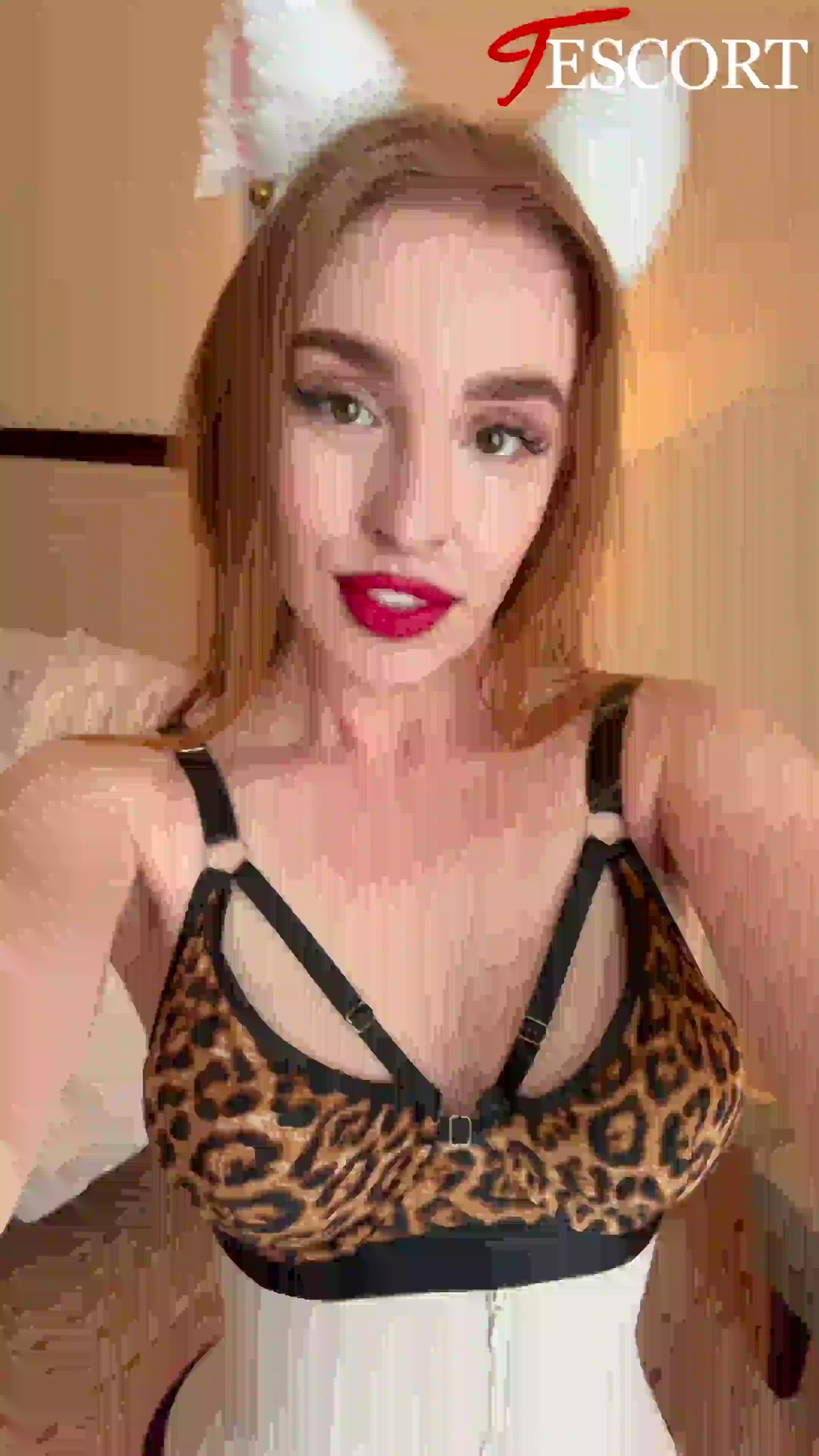 Foxy Monaco Video Background