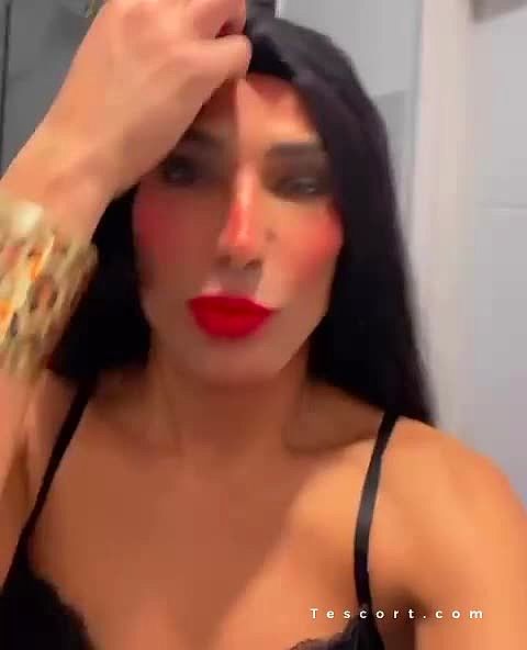 Grosbite21cm Video Background