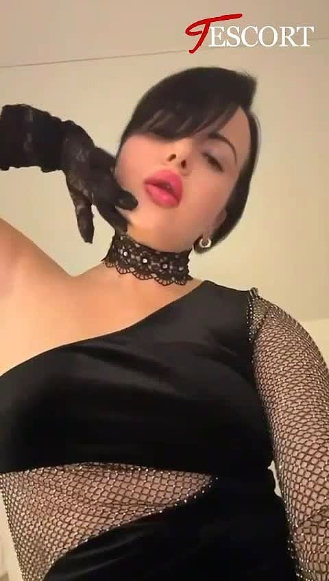 STEFANI Video Background