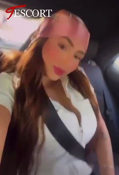 Rose Vidéo Arrière-plan