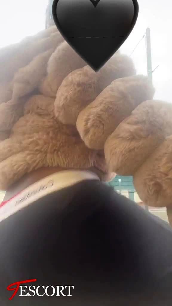 BlacketteSeDeplace Vidéo Arrière-plan