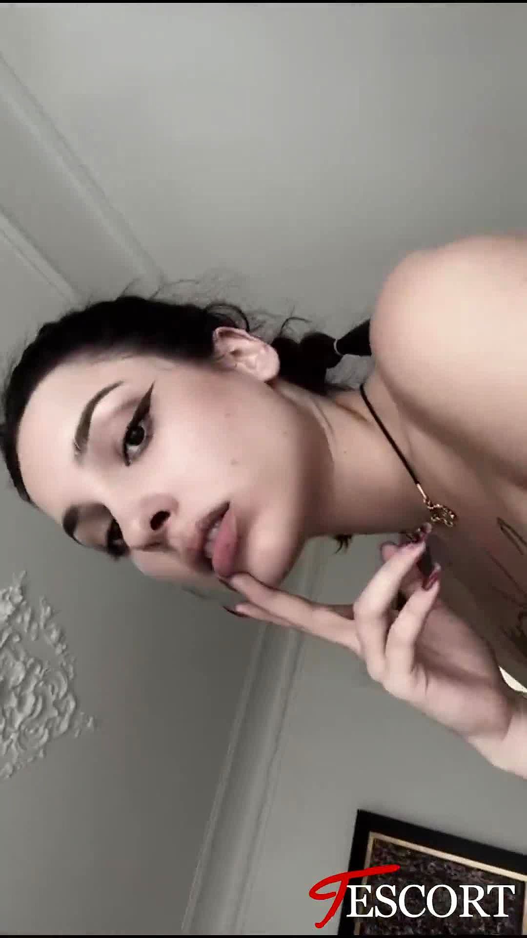 Salvia Video Background