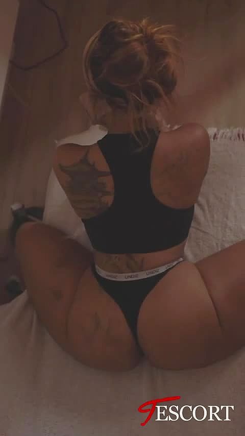 Shannapulpeuuse Video Background