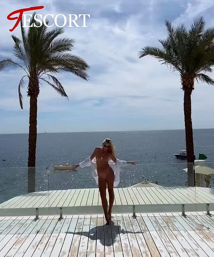 Michelle Party Video Background