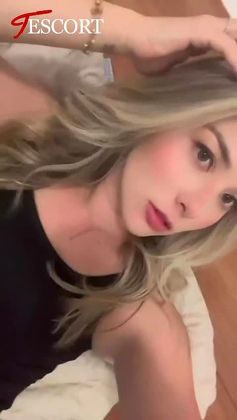 Camilli Vidéo Arrière-plan