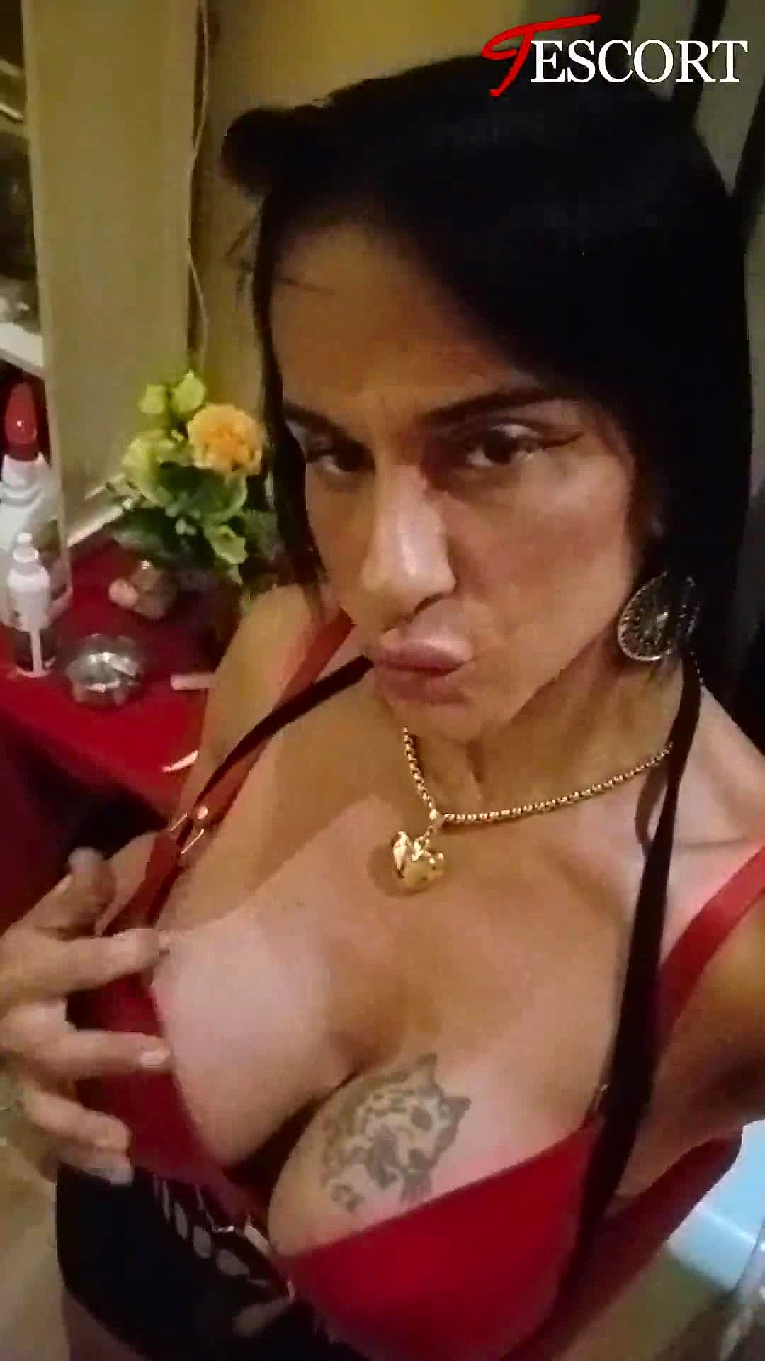 Melodia75 Video Background