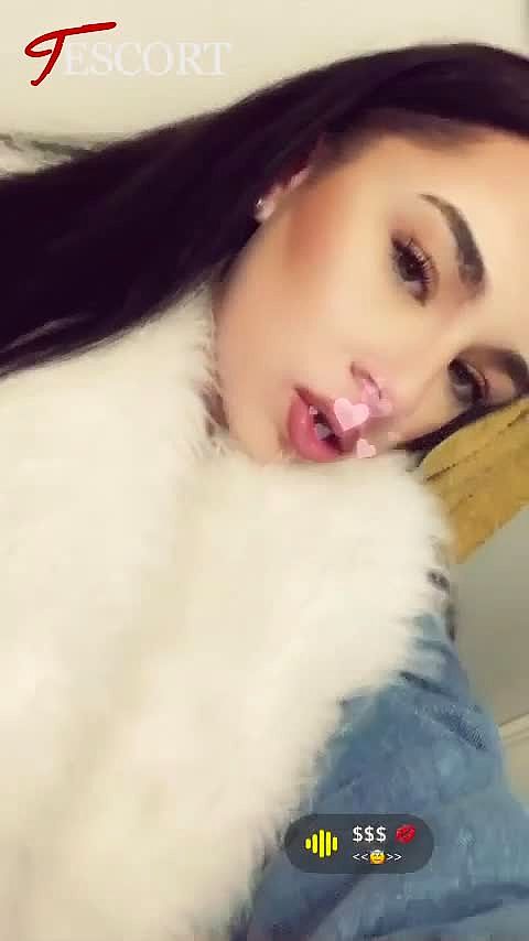 Shay Vidéo Arrière-plan