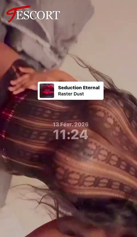 Paloma Video Background