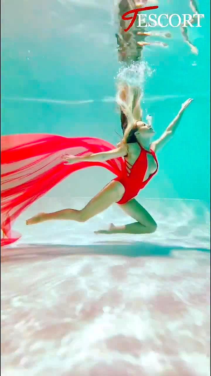 Fortuna Video Background