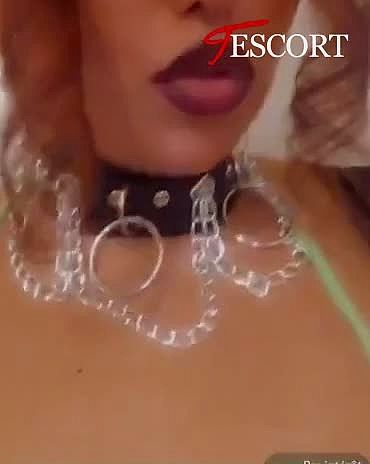 Suceuseroyalee Vidéo Arrière-plan