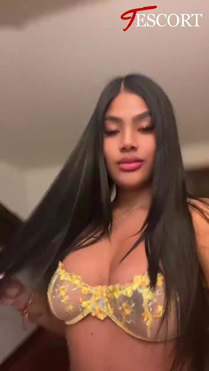 Catalina Video Background
