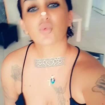 flamenca ocasionel Vidéo Arrière-plan