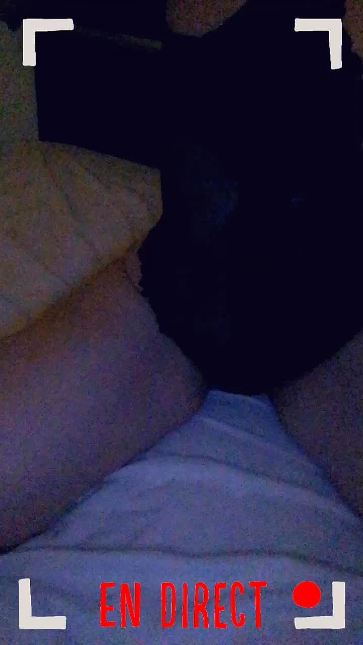 DISPO AVIGNON Video Background