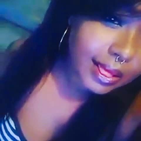 Carolina Vidéo Arrière-plan