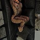 Daniela Commentaire