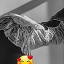 Yasminasexy Commentaire
