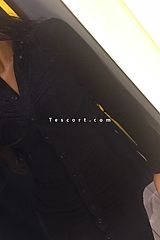 little novice - Escort Girl Toulouse