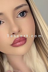 Dalila - Escort Girl Lille