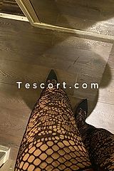 Melina - Escort Girl Niort