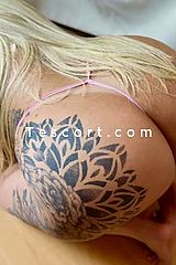 Brunacoquine2026 - Escort Girl La Ciotat