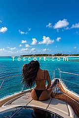 Cece 🇧🇧 - Paris Escorts