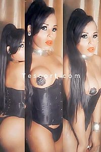Tayla Lavinsque - Escort Trans Perpignan
