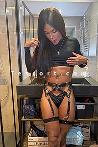 AYLLA22CM - Escort Trans Valence