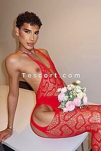 ZAHIA HOT - Escort Trans Cannes