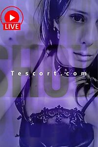 yvanafox - Escort Trans Lorient