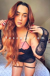 Angel Ferraz - Rennes Trans Escorts