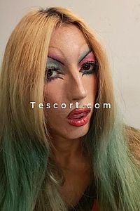 Harley - Le Havre Trans Escorts