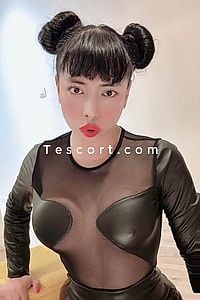 Laraa - Escort Trans Saint-Louis
